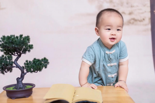 信阳可爱的企鹅宝宝